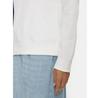 Толстовка Tommy Jeans DW0DW19959
