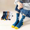 Male Autumn and Winter Fashion 5A Cotton Leisure Anti Bacterial and Odor Proof Long Sports Socks