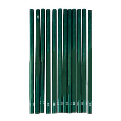 Matite da Disegno 6B Resistenti alle Cadute Set di Matite in Grafite Professionali Portatili per Schizzi Ombreggiatura