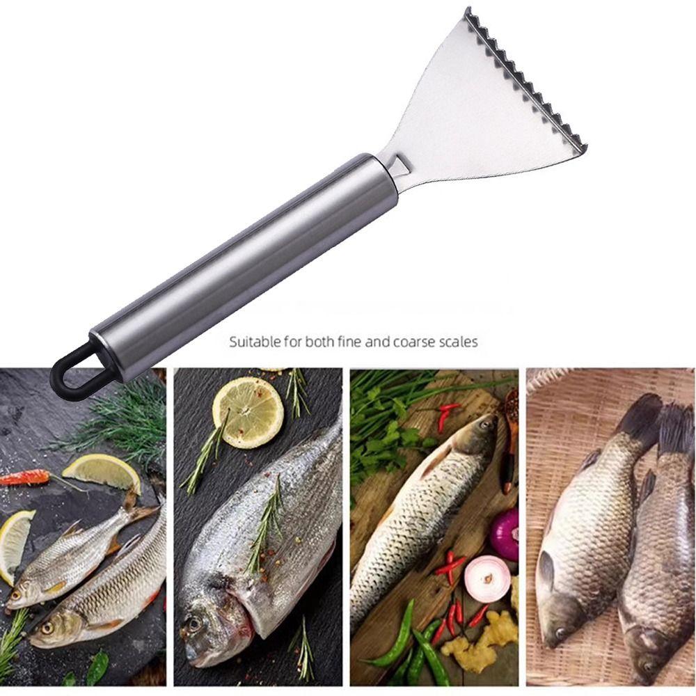 Smooth Handle Fish Scale Scraper Easy Maneuverability Seafood Tools  Kitchen Tools