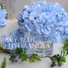 1 Peça Flor Decorativa Colorida Festa de Casamento Hortênsia de Seda Artificial de Luxo DIY Decoração de Flores Vaso Flores Artificiais