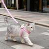 Cute Cartoon Style Anti-Escape Cat & Dog Leash for Small Pets