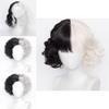Stylish Cruella De Vil Inspired Full Head Wig With Chic Bangs For Ladies