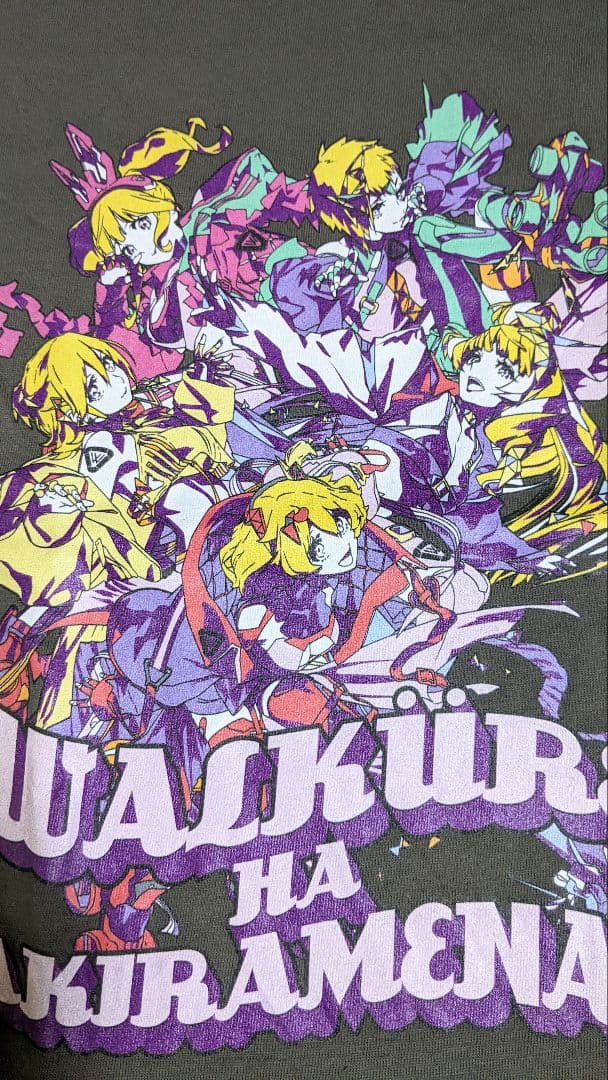 [USED] Summers Live T-shirt, size L, Summers Live Summers