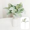 5 bucăți artificiale de frunze de urechi de miei flocate cu tulpină, reutilizabile, acasă, petrecere de nuntă, verdeață artificială, aranjament floral, decorare pentru interior, exterior, accesorii foto