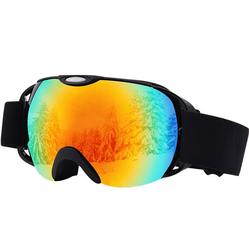 Adult Double-Layer Anti-Fog Ski Goggles