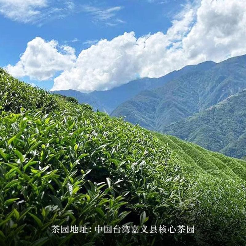 Чай Молочный Улун Премиум листовой высокогорный улун из Тайваня — фото 5