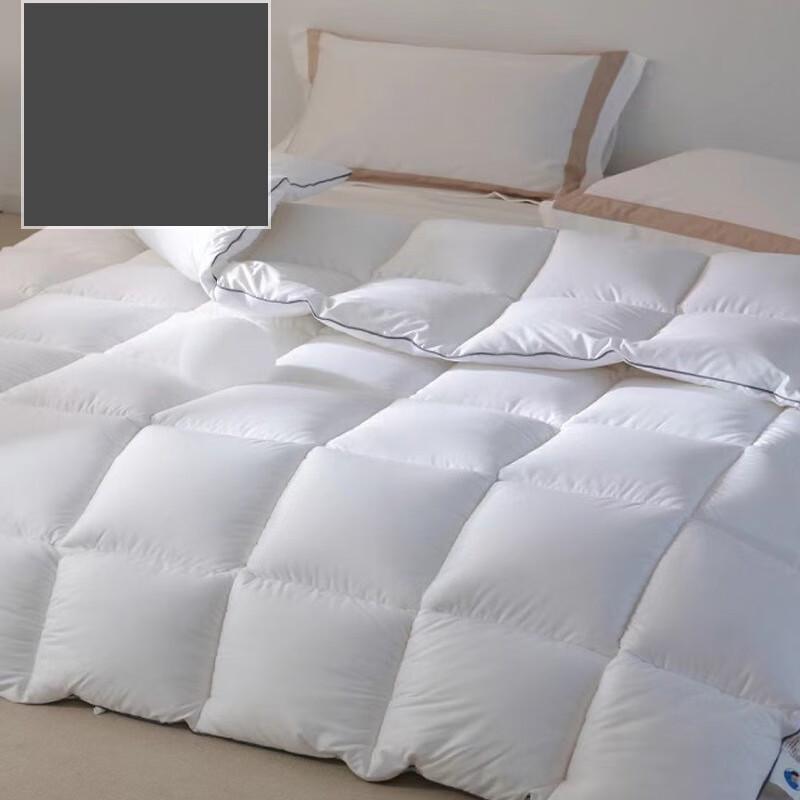 Le Qisi White Goose Down Duvet Insert