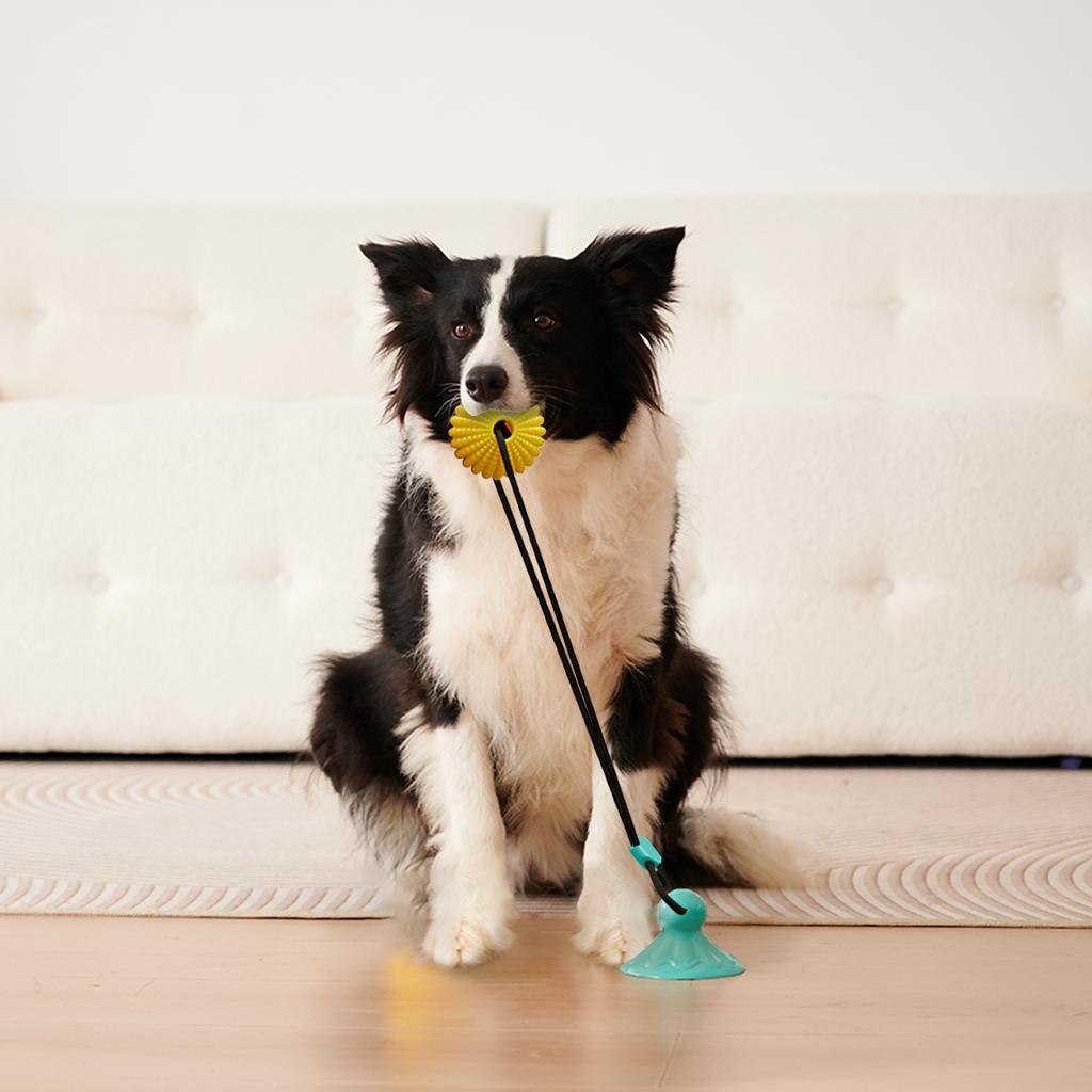 Pet Suction Cup Grinding Toy Ball, Teeth Cleaning And Anti-Biting, Interactive Pull Rope Tug-Of-War Toy, Suitable For Small Dogs