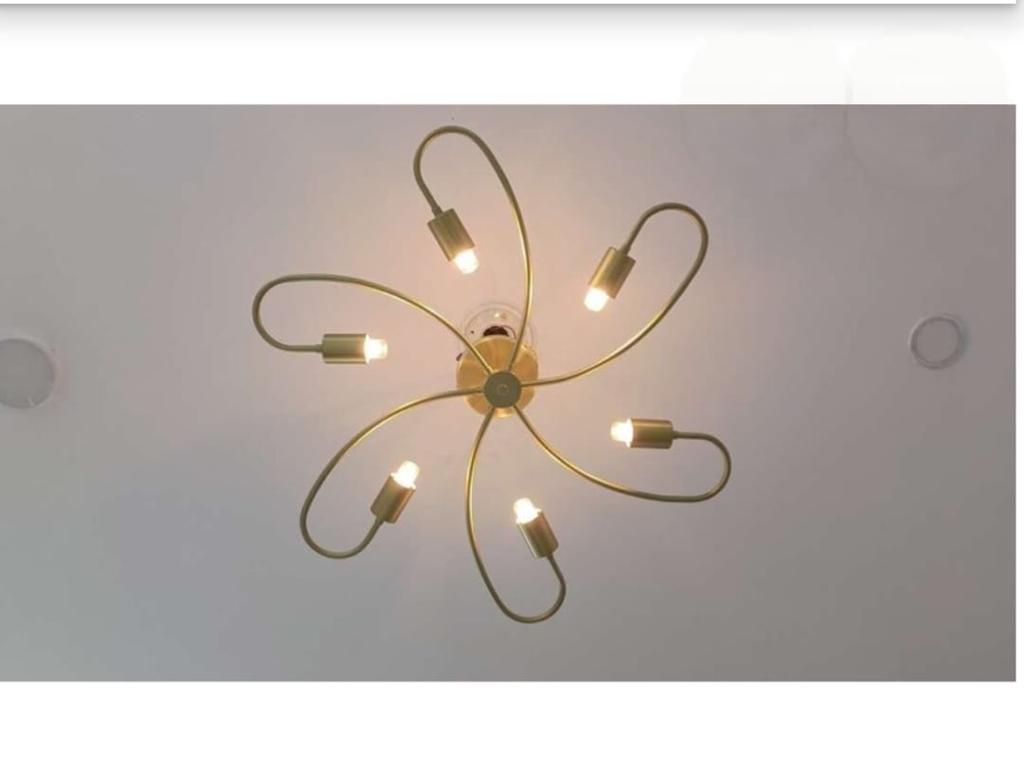 Elegant Ceiling Flush Mount Light Pendant Mid Century Modern Raw Brass Sputnik Chandelier Light Fixture