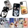 Husky Pomeranian Dog Phone Cover for Xiaomi Redmi Note 11 15 9 10 Pro Plus 8 A5 9A 9T 10A 10C 9C NFC 15C 8T Case