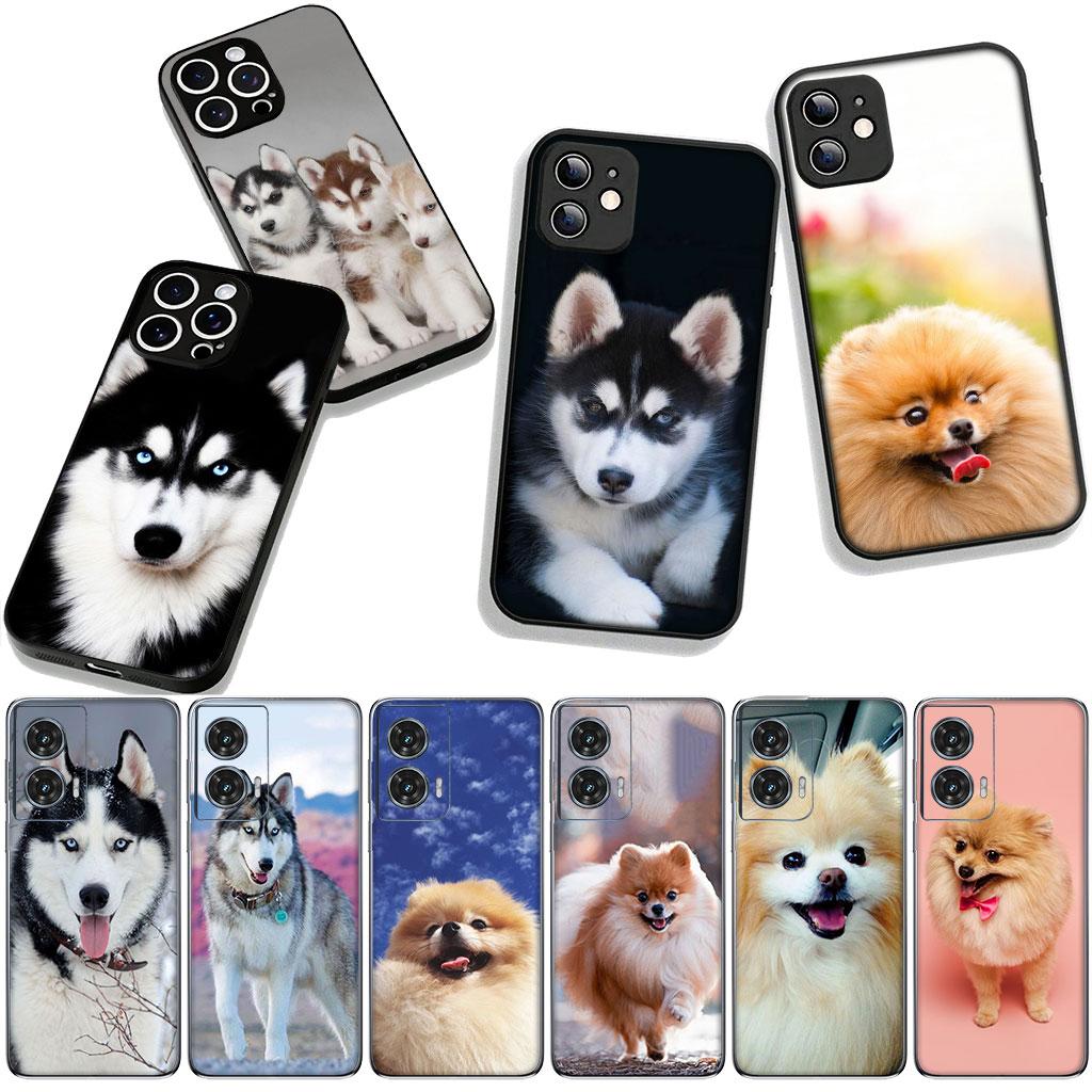 Husky Pomeranian Dog Phone Cover for Xiaomi Redmi Note 11 15 9 10 Pro Plus 8 A5 9A 9T 10A 10C 9C NFC 15C 8T Case