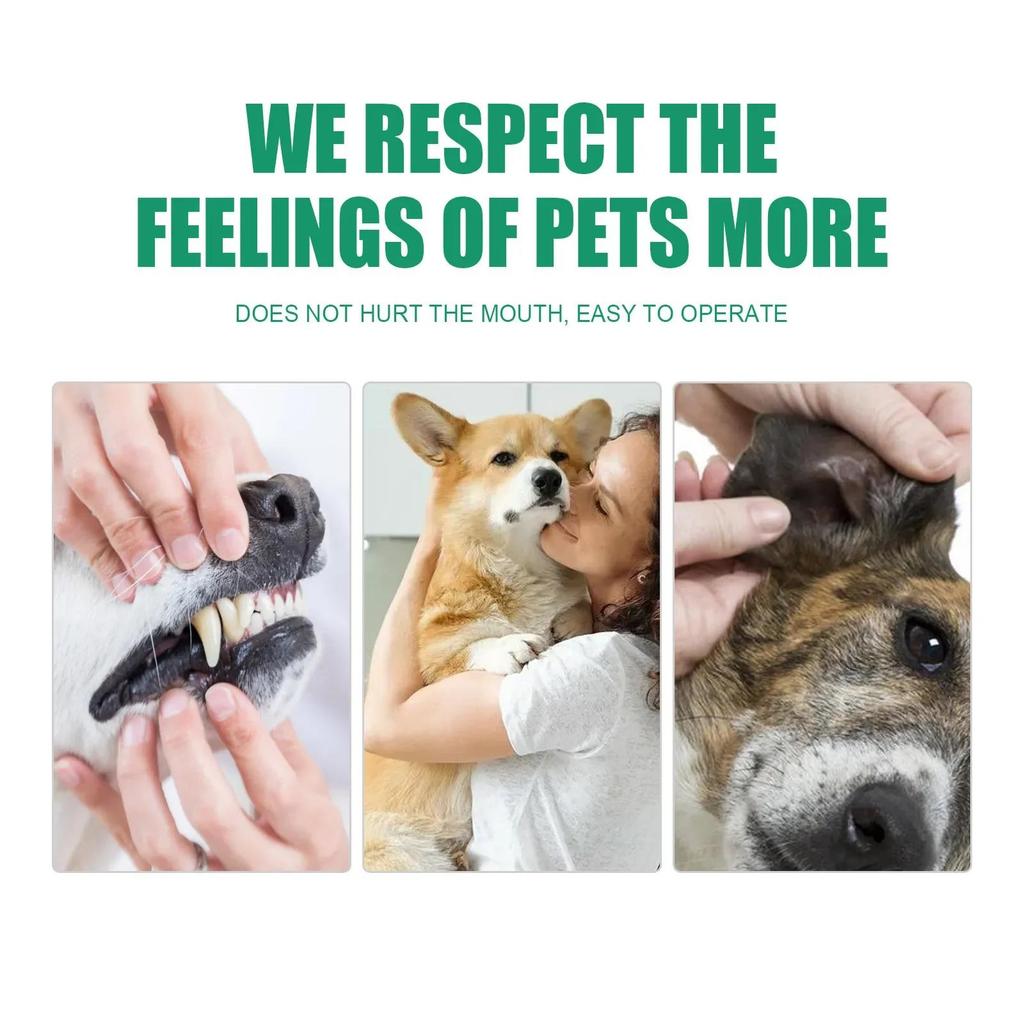 Pet Teeth Cleaning Disposable Finger Cot Wet Wipes Remove Tartar Cochlear Cleaning for Cat Dog Toothbrush Oral Care Finger Cover 6