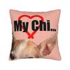 C-Chis S-Sweet H-Home Cat Pillow Cover Comfy Cushion Cover Morden Pillow Case For Sofa Couch Bed Living Room