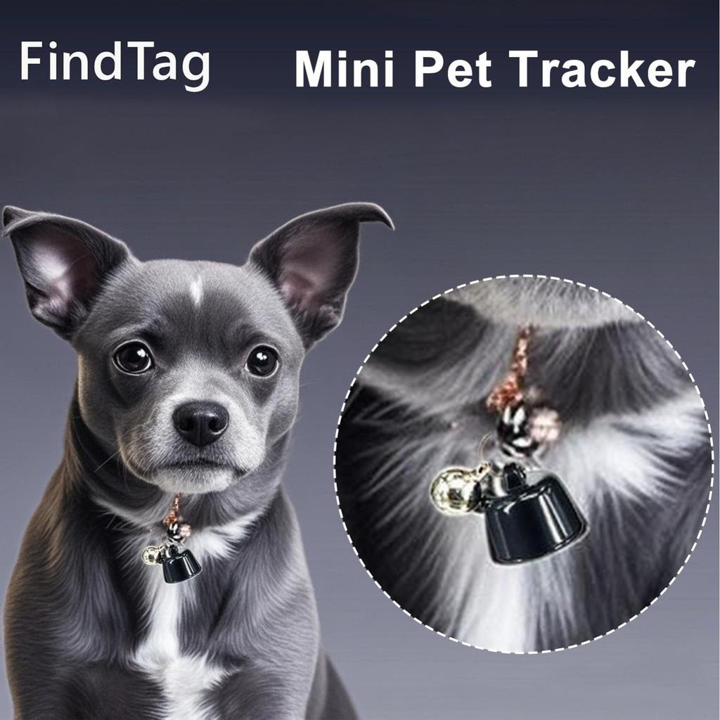 Smart Pet , Smart Pet Location Collar, Compatible With IOS & Android, Works Worldwide With Any Collar, No Monthly Fees, Pet Locator