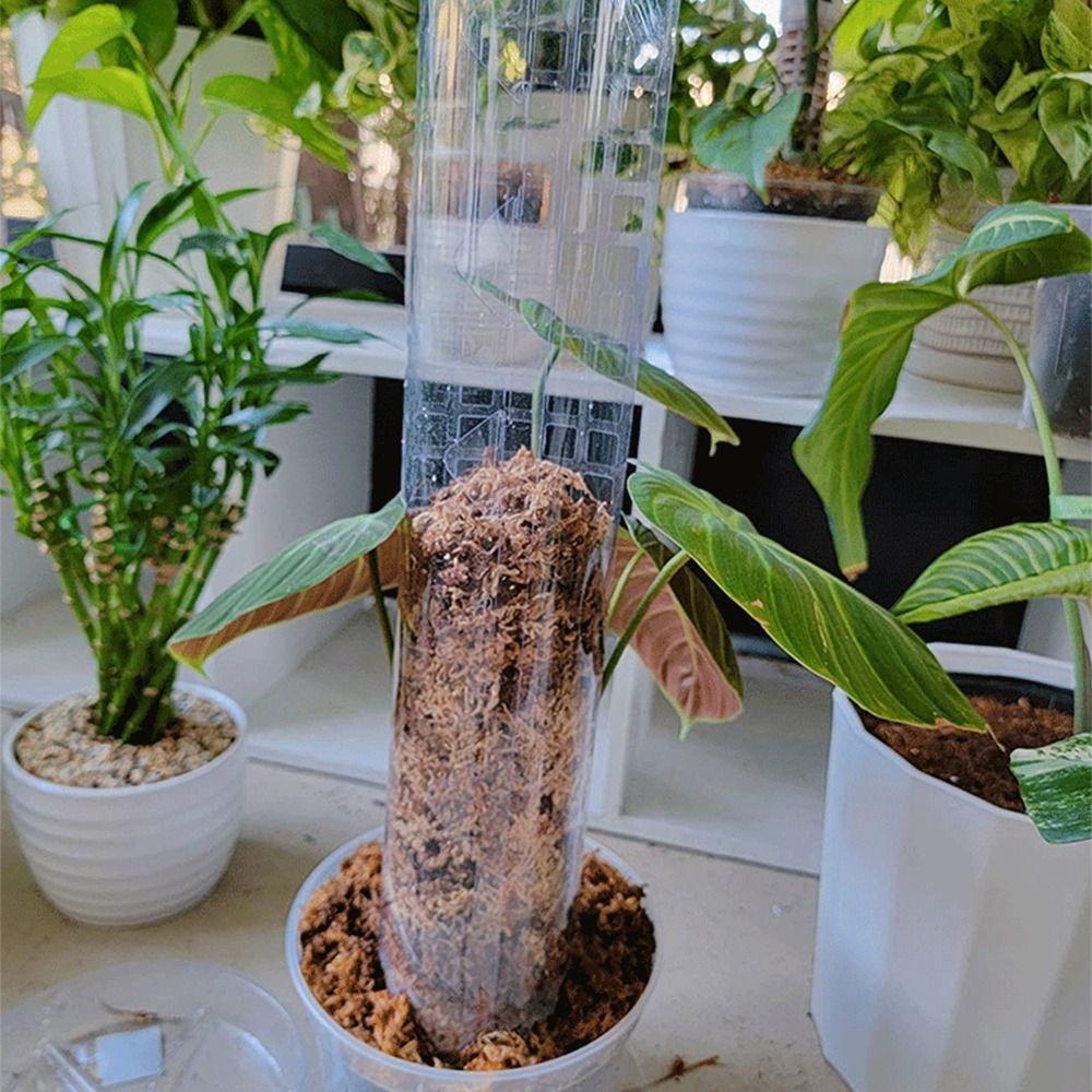 Weather Resistant Moss Pole Transparent Plant Support Plant Pole Stick Water Moss Column  Garden