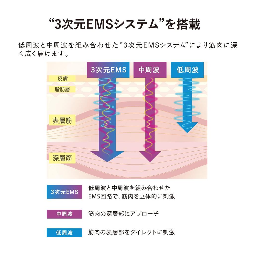 Atex Lourdes EMS Belt Nexa Legs Thighs Lower Belly Buttocks Lower Body Exercise Exercise AX-FR921sv