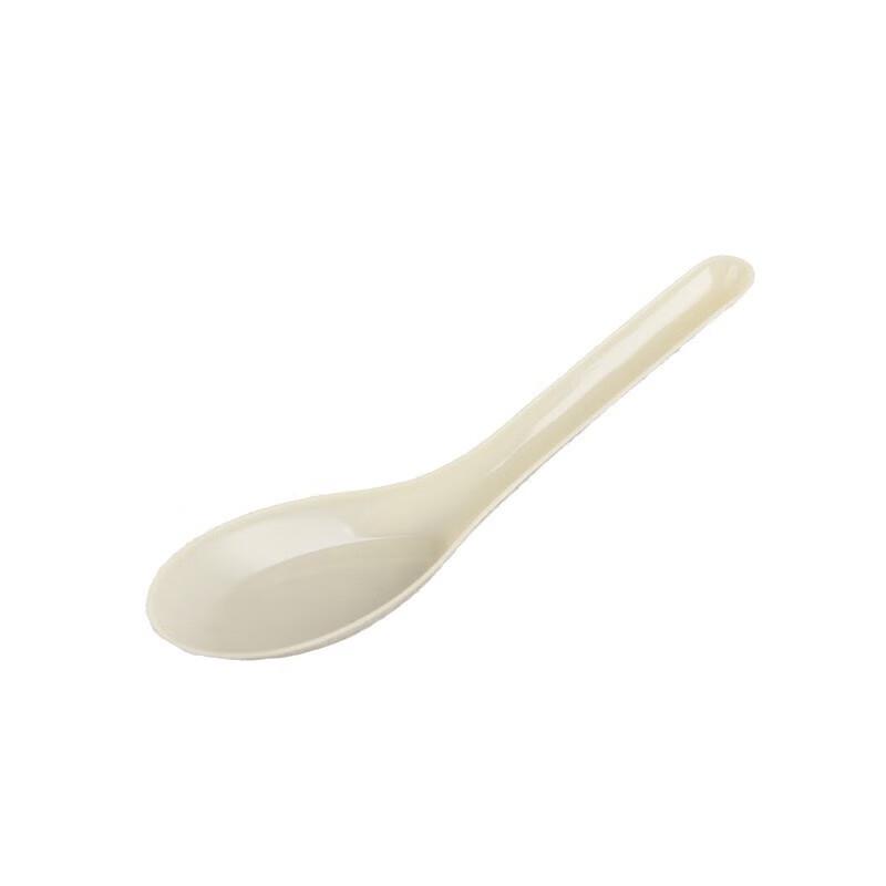 Disposable Commercial Spoons
