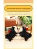 Creative Cute Black Pomeranian & Chihuahua Plush Toy Animal Ornament