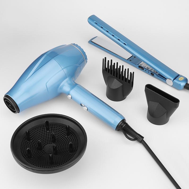 2 In 1 Hair Straightener and Dryer Set 3 Level Wind Speed for Dryer Straight Curly for Hair Flat Straightener Hair Styling Tool