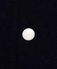 Lee Wool Blend Varsity Jacket Navy