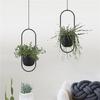 Minimalists Golden Hanging Planter With Adjustable Chain Corrosions Resistant for Home Office Decoration
