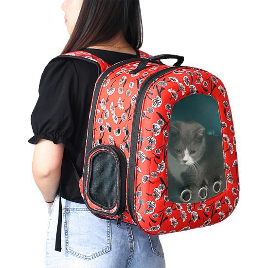 animal carrying backpack