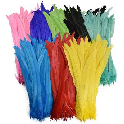 Doğal 100/50/10 adet Horoz Kuyruğu Tüy Tüyleri 30-35 CM DIY Boyalı Horoz Kuyruğu Giyim Aksesuarları Takı Performansı
