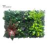Decorative Privacy Screen 40x60CM Artificial Plants Wall Panel Realistic Fake Greenery Grass Backdrop Covering Decoration Indoor Outdoor Garden