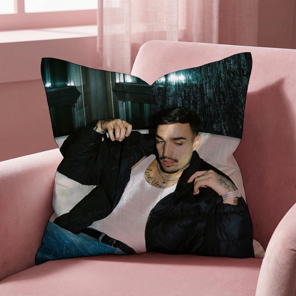 

Rels B Skinny Flakk Cushion Cover Multi-Scene Pillow Cover for Home & Car - Reversible, Soft & Durable for Daily Use 30cmx30cm