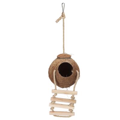 Perroquets Suspendus Maison Noix de Coco Naturelle avec Échelle Oiseau Hamster Cage Balançoire Nid Jouet Noix de Coco Poilue