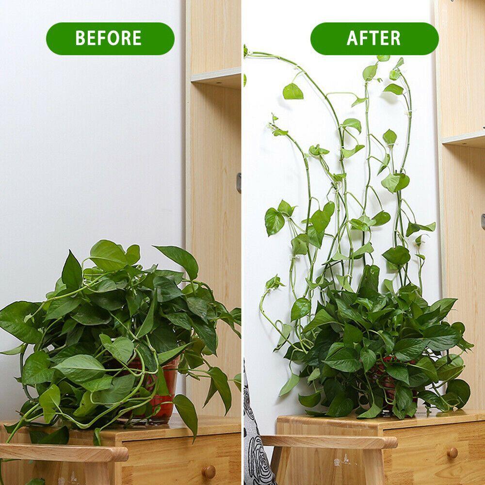 10/50PCS Invisible Wall Sticky Hook Climbing Wall Vines Rattan Clamp Plant Clip Greenhouse Bracket