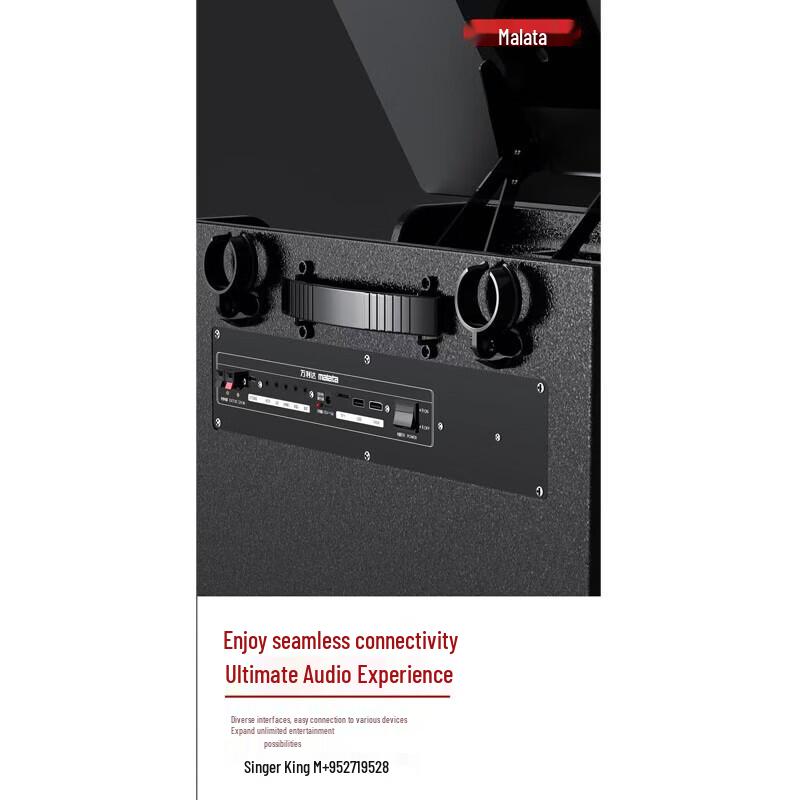 Malata Portable Home KTV Audio System (CN Version)