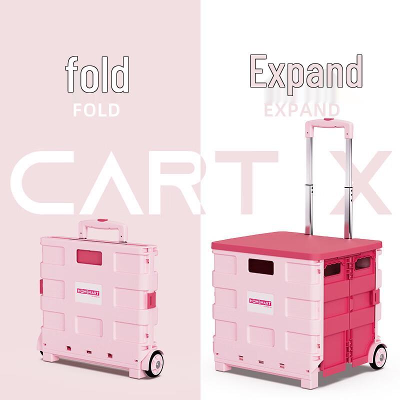Portable Folding Two-Wheel Plastic Shopping Cart