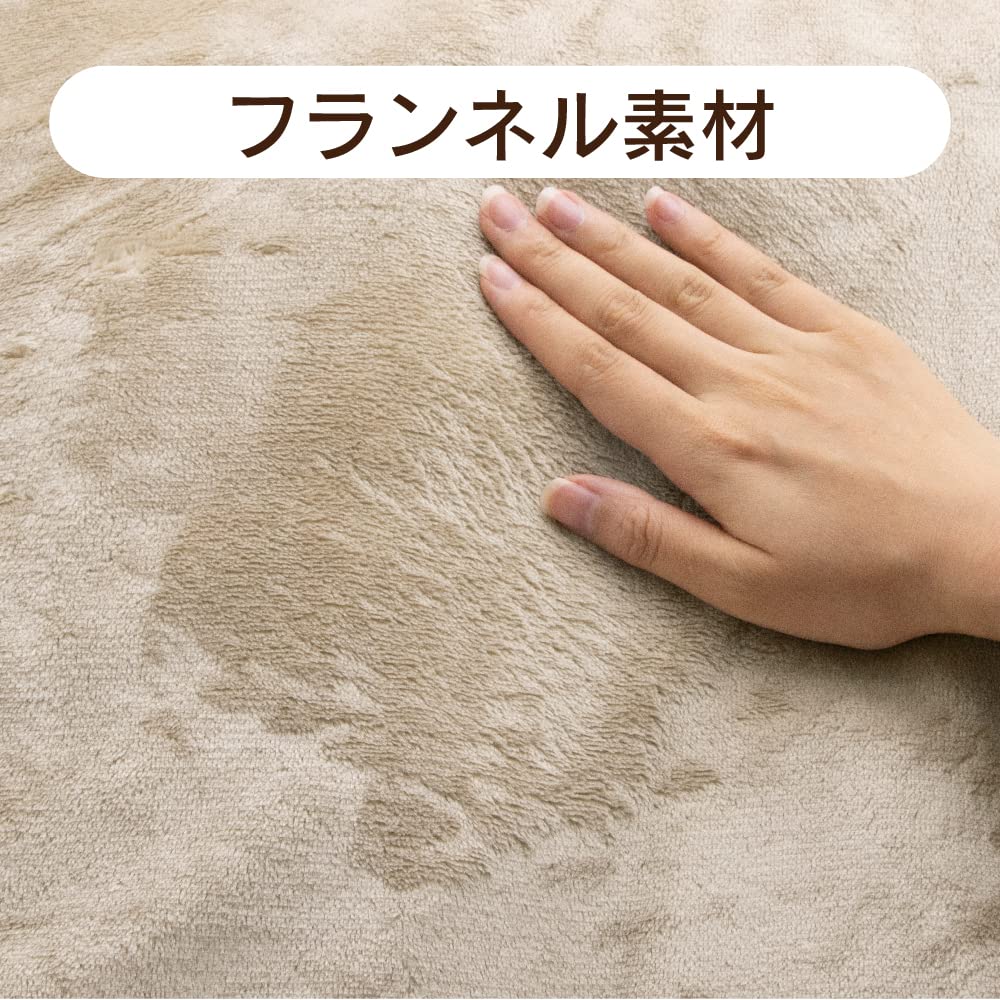 Denkyosha Zepeel Electric Blanket Champagne DM-Y10FSM-CN