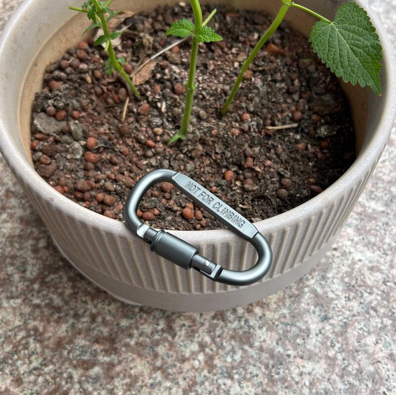 ML Aluminum Alloy D-Ring Carabiner 20-Pack