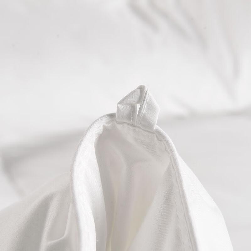 Hongxiu Shifang Ultra-Fine Fiber All-Season Quilt