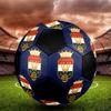 SIZE 5 Willem II Soccer Ball Colorful All Ages Machine Stitched PVC Competition Ready Durable High-Bounce