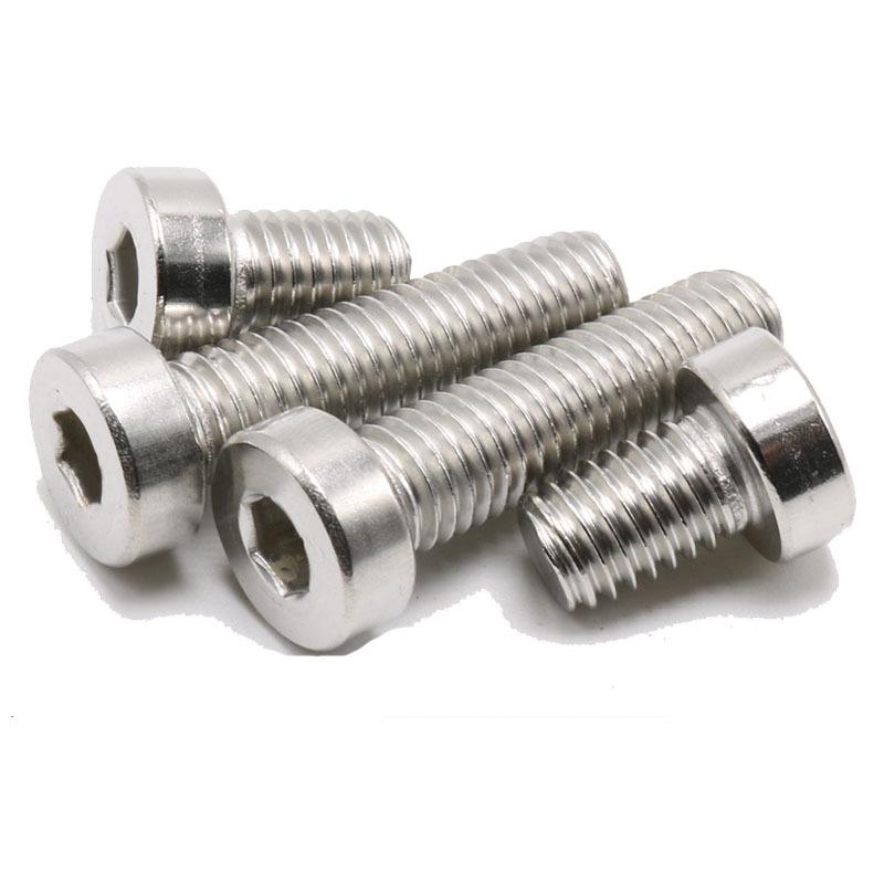 304 Stainless Steel Thin Head Socket Cap Screw DIN7984 M5/M6/M10 for Photovoltaics