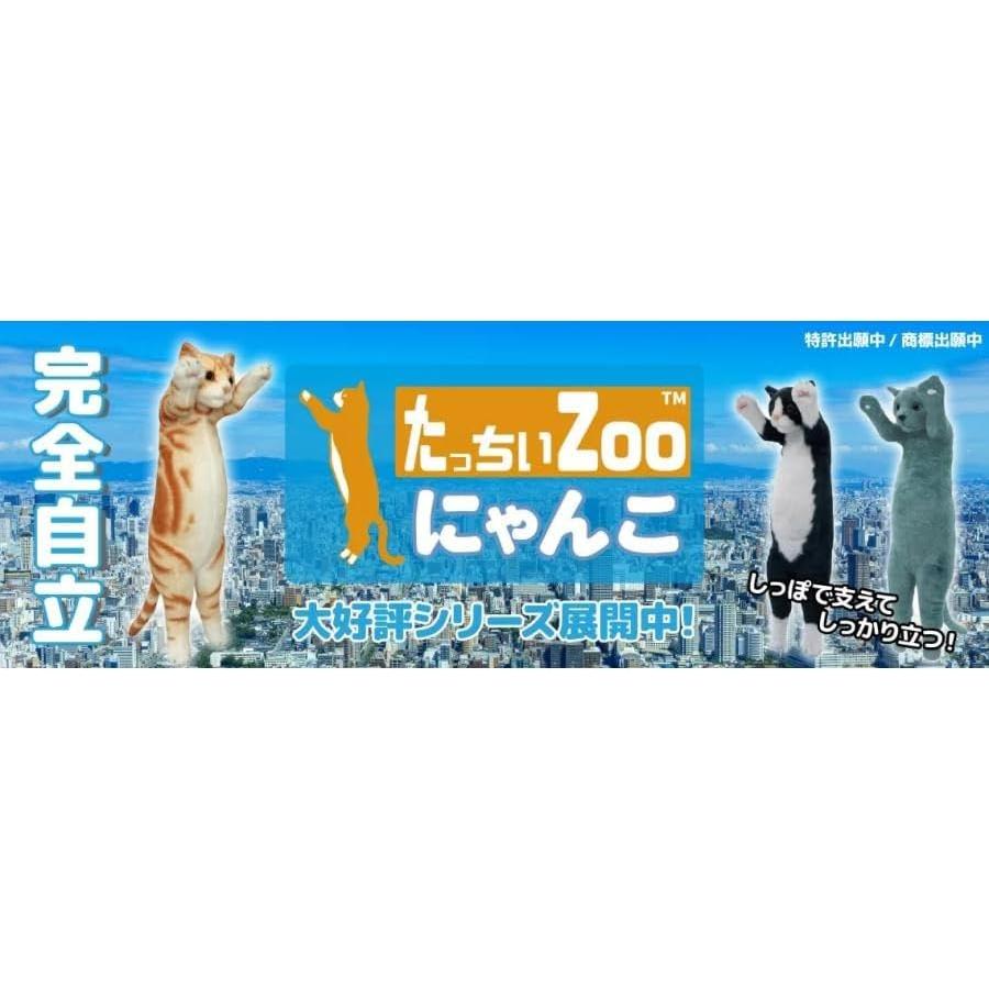 American Shorthair Cat Plush Toy