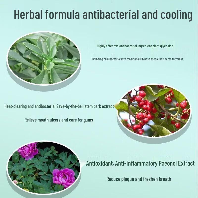 Dr. Ya Herbal Toothpaste (20-Pack)