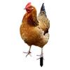 Realistic Acrylic Animal Yard Stake, 2D Flat Chicken Goose Bird Bunny Garden Sign for Pathway, Patio, Lawn Outdoor