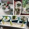 100/300G Cobblestone Decorative Stone Marbles for Succulent Bonsai Fish Tank Vase Plant Little Stone Home Garden Pebbles Decor