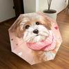 1pc Pink Heart Scarf Dog Illustration Umbrella with Plastic Handle,Suitable for All Seasons Home Travel Outdoor UmbrellaDD307