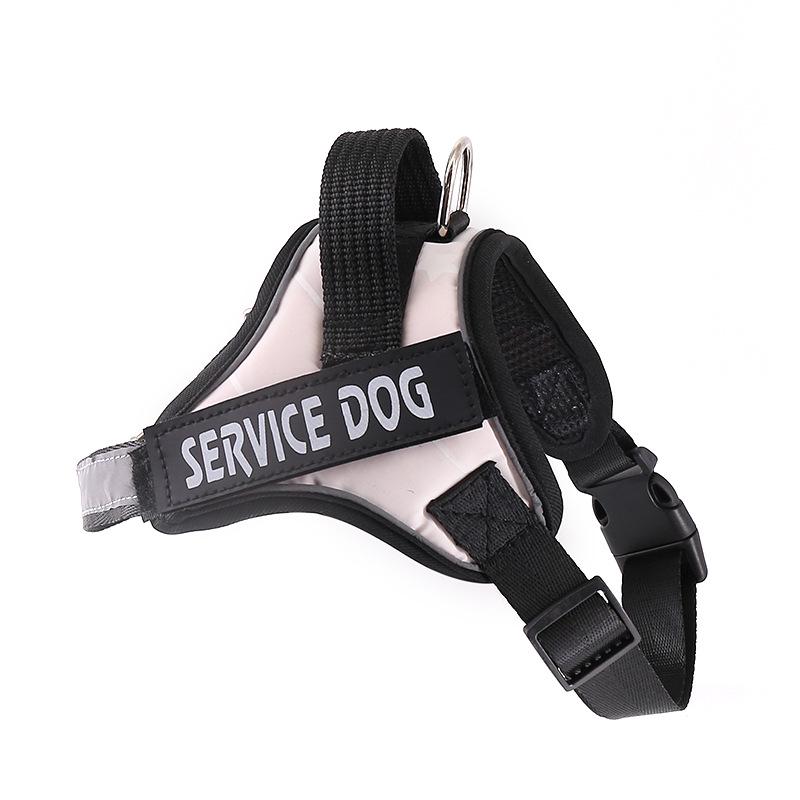 Verstellbare Hundeleine & Geschirr für mittelgroße bis große Hunde