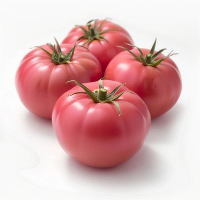 25 semi di pomodoro rosa bernese