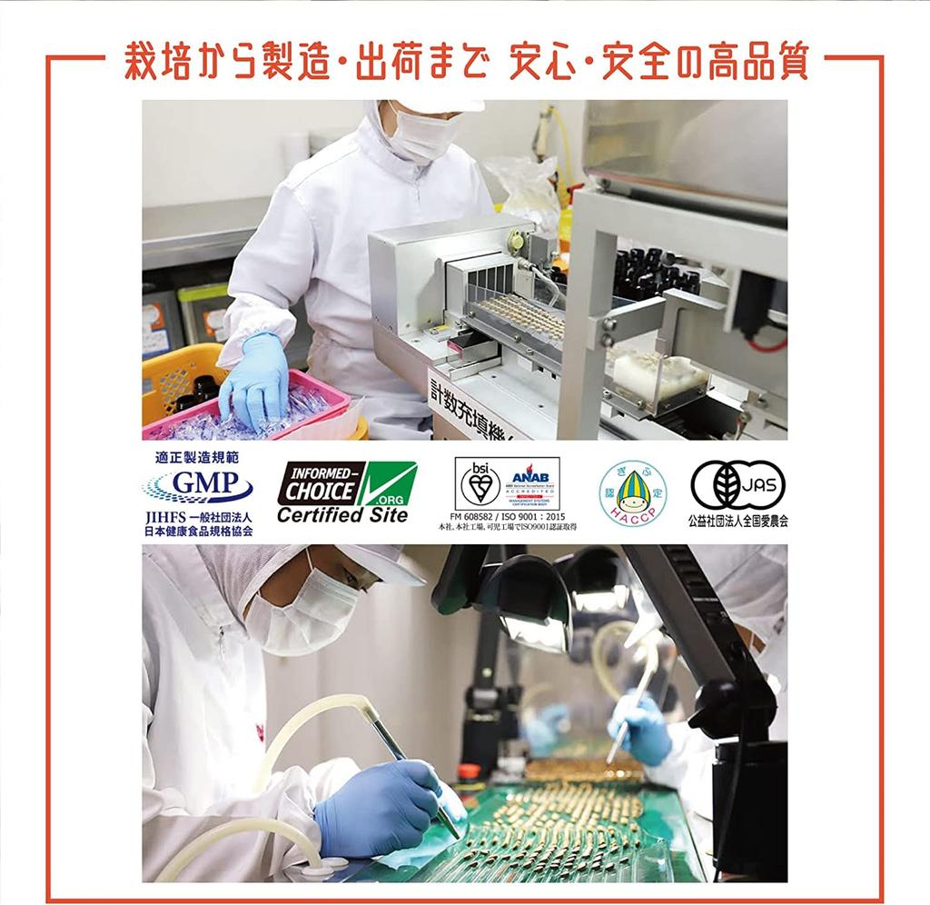 Japanischer Bergginseng aus Miyazaki Hyuga Toki Blattstiel 390 Körner x 1 Beutel [NIPPON YAMANINJIN] Takachiho, Präfektur, 100% Pulver,