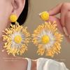 Steel Needle Holiday Style Handwoven Flower Fireworks Earrings Fashion Personality Temperament Earrings Atmosphere Earrings