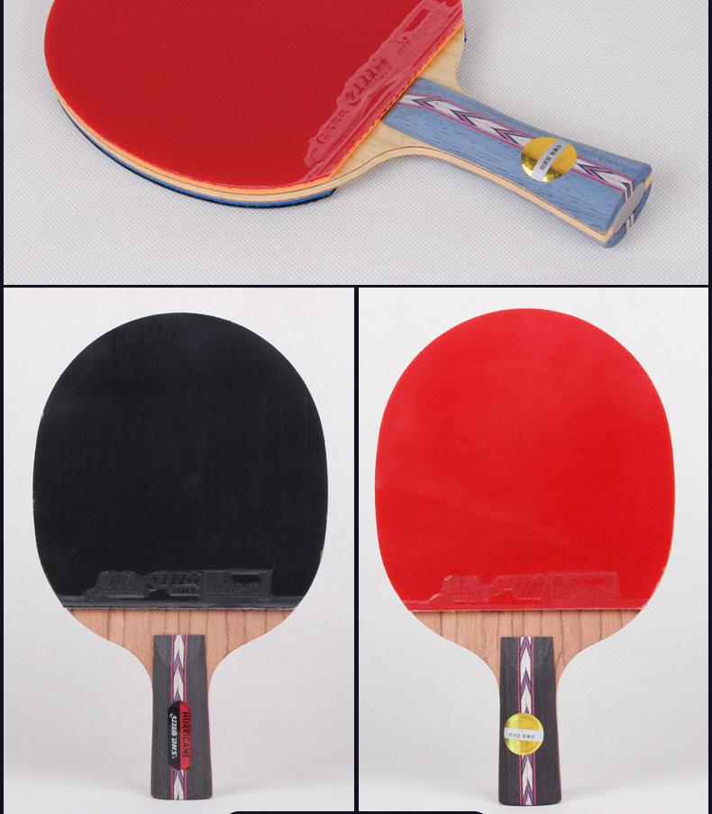 DHS Hurricane PRO Offensive Table Tennis Racket - Dragon Single Racket Set with Gift Box