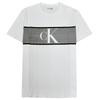 Calvin Klein CK Size L Men's Short-Sleeve T-Shirt Gray/White [Used]